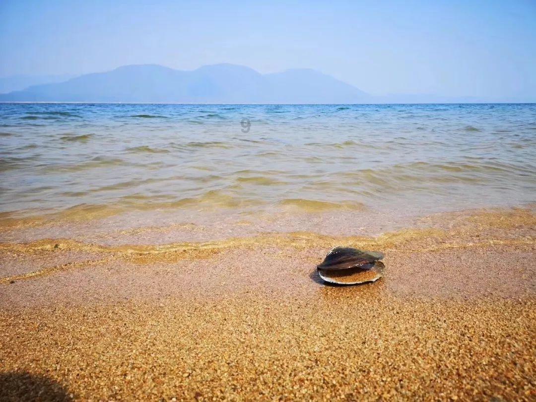 在哈尔滨没搓上的澡在海南整上了