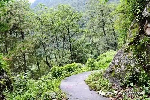 如何评价夺帅?这部作品怎么样?知识星球,专业分享与互动平台