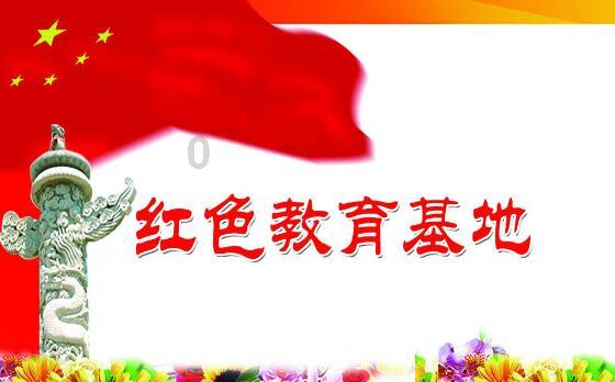 生化危机：浣熊市行动