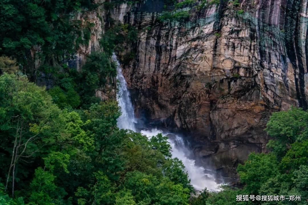 高级定制