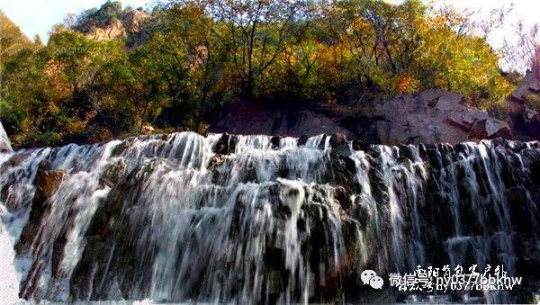 逃离太古森林