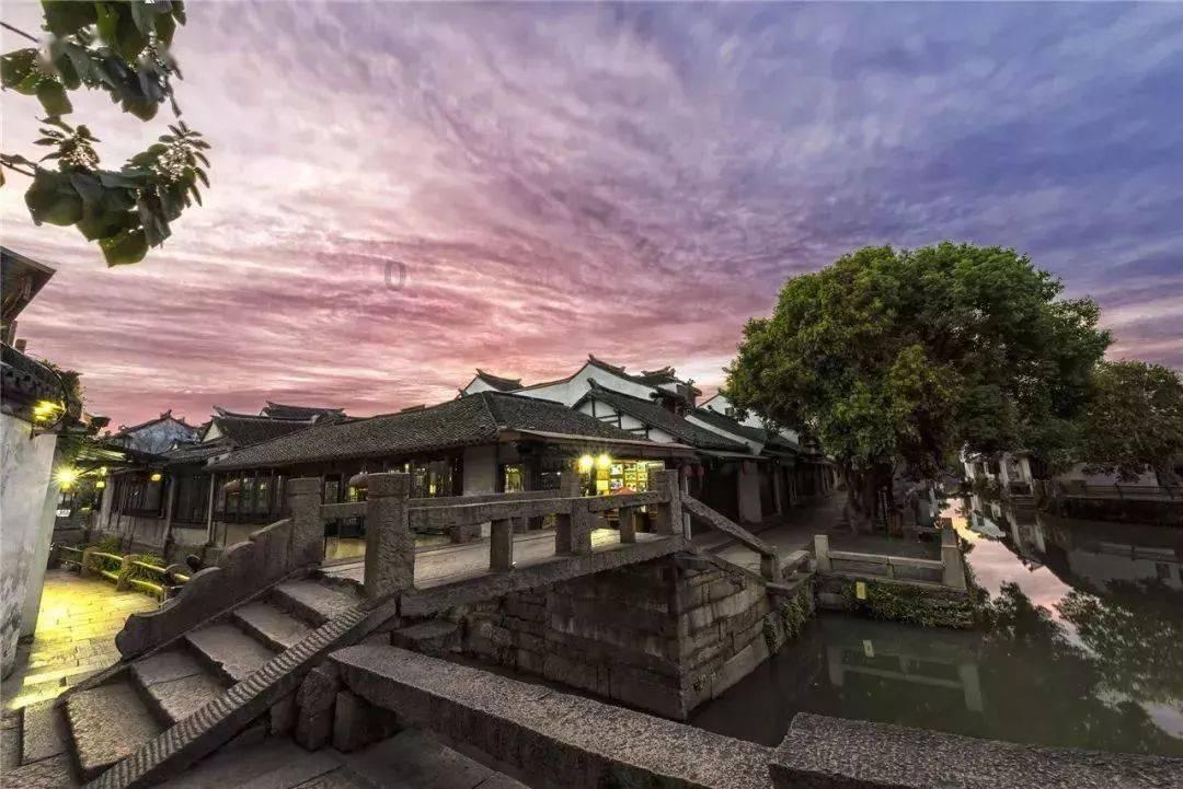 白色森林逃脱
